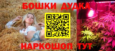 МДПВ Абакан