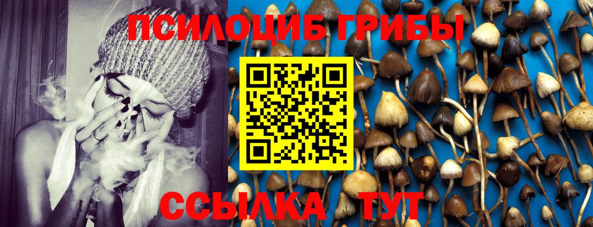 Галлюциногенные грибы Psilocybine cubensis  Вход с VPN  купить  цена  Алексеевка 